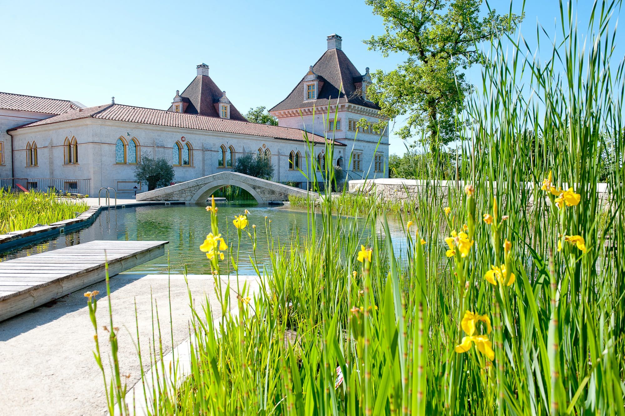 piscine naturelle detox jeune confort gers - Domaine d'Orion
