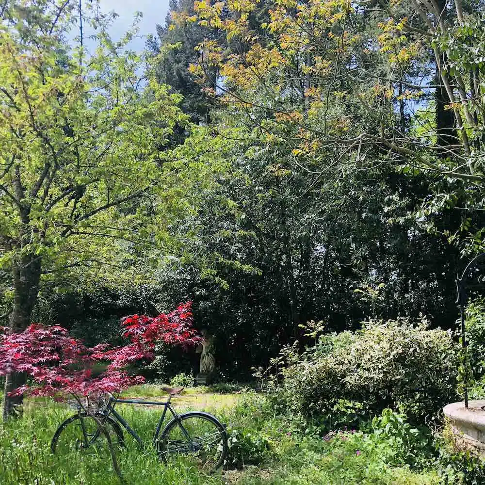 jardin2 Morbihan Bretagne Chemindelasante jeune et randonnee - Bretagne sud