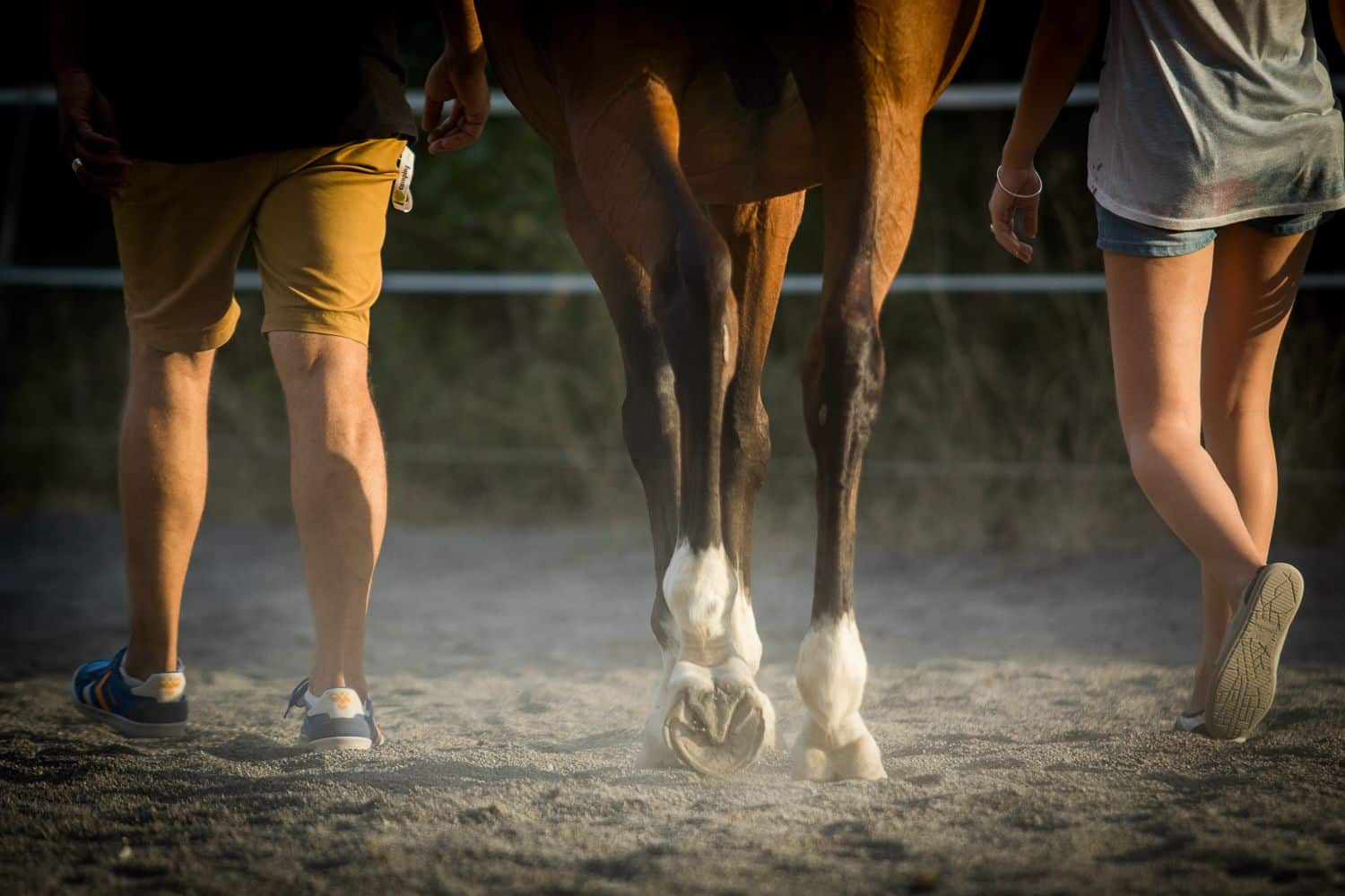 detox jeun rando cheval provence chemin sante - Je&ucirc;ne, Randonn&eacute;e et Cheval