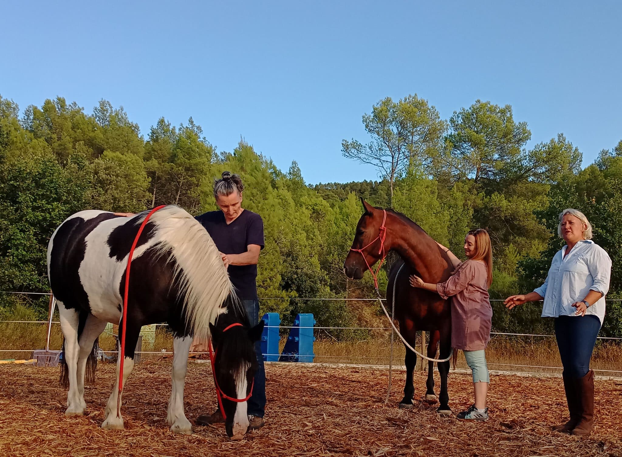 stage detox equitation cheval provence scaled - Je&ucirc;ne, Randonn&eacute;e et Cheval
