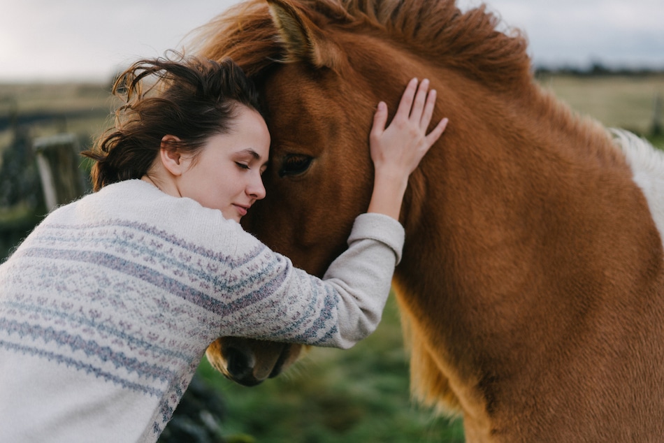stage equicoaching jeune communication cheval connexion provence - Je&ucirc;ne, Randonn&eacute;e et Cheval